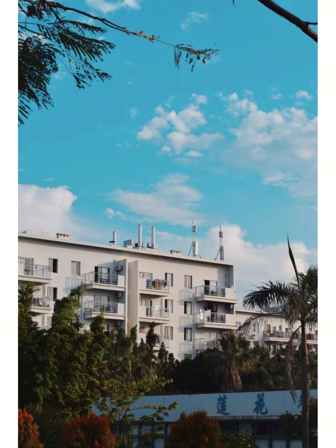 厦门南洋职业学院