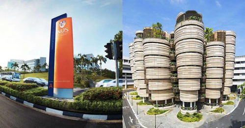 如何判断自己是否适合考DSE？——以厦门南洋学院为例