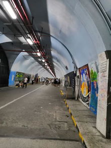 上有天堂，下有我挚爱厦门——厦门南洋风情的独特魅力